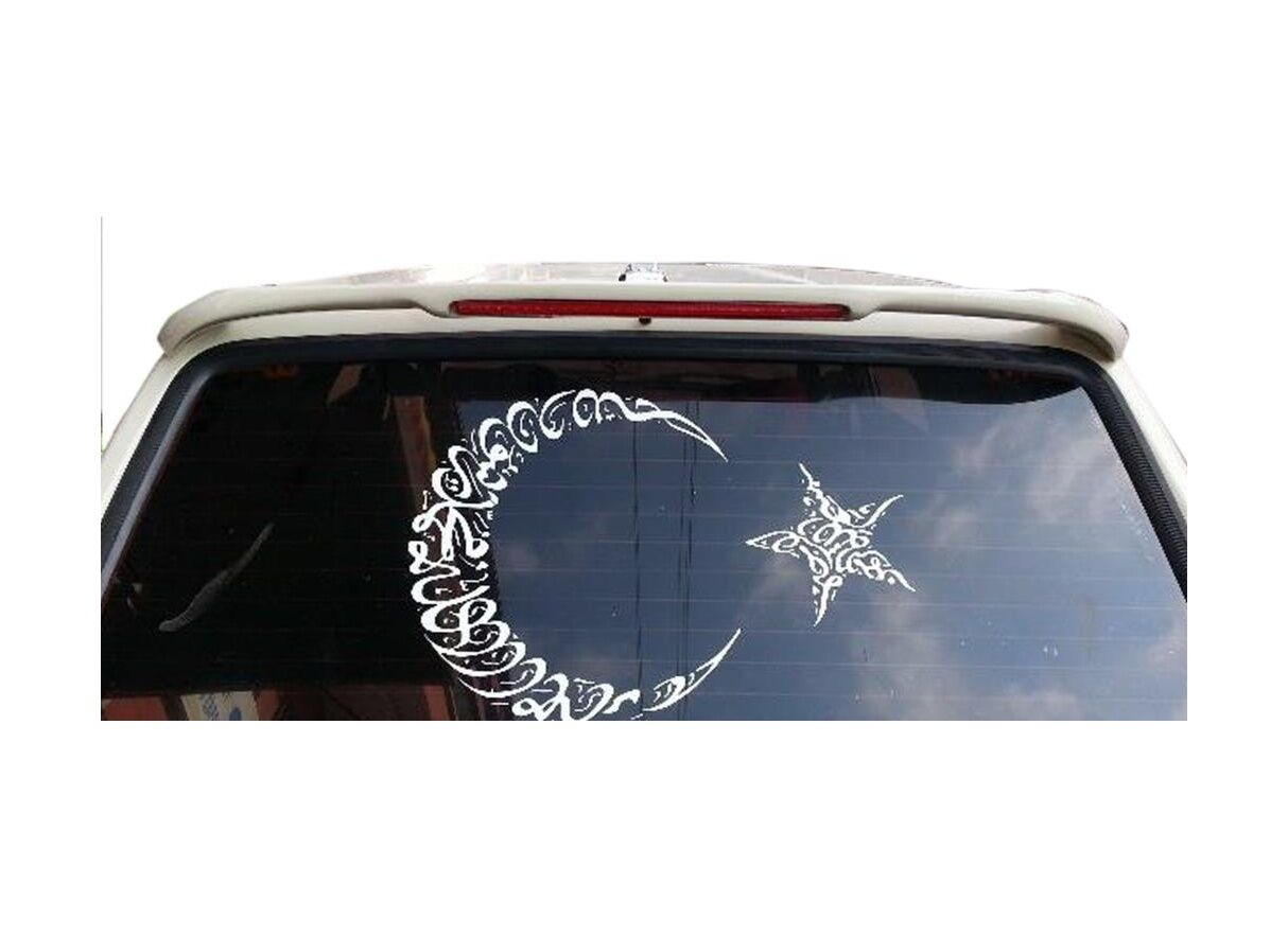 Tofaş Uyumlu Kartal Spoiler Boyalı